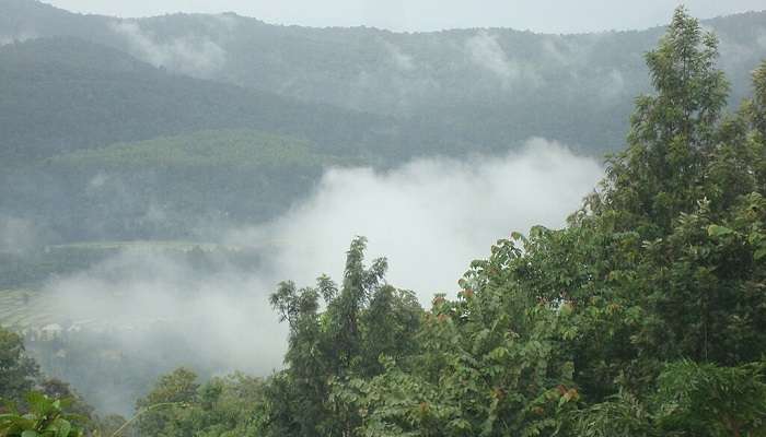 The alluring region of Chikmagalur in Karnataka
