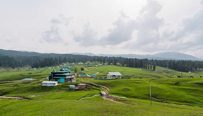 The beautiful view of Yusmarg Kashmir Valley offers nature in its purest form.