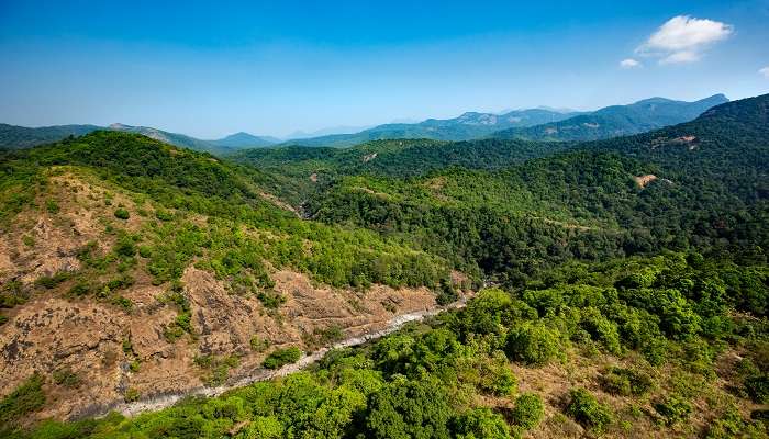 Silent Valley National Park wildlife safari near Walayar in the Western Ghats