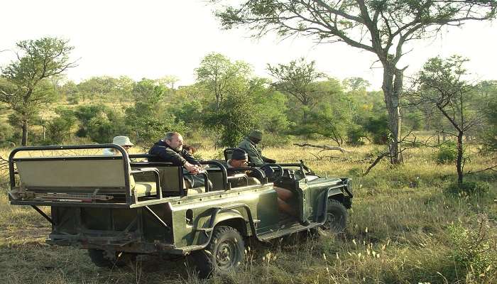 Jeep safari at wildlife sanctuary 