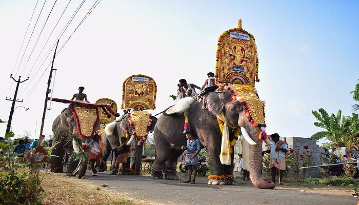 Scenes from the famous Hindu cultural festival known as 'Pooram' are the best things to do in Belur.