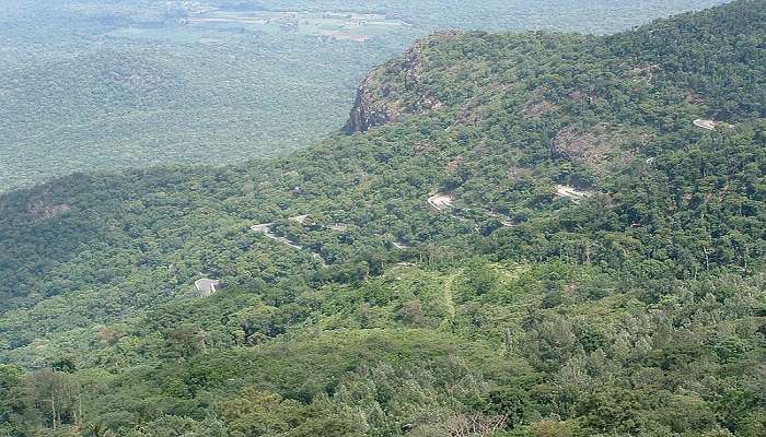 Lady’s Seat is one of the amusing places to visit in Yercaud