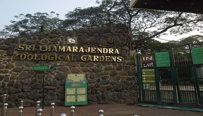 Explore the Mysuru zoo located near the Vivekanandanagar