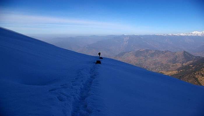 Snowfall at Chopta Valley Sikkim.