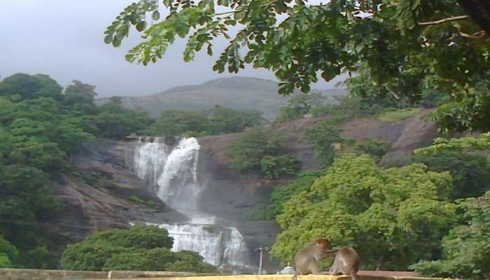 Courtallam Waterfalls in Tenkasi Tamil Nadu