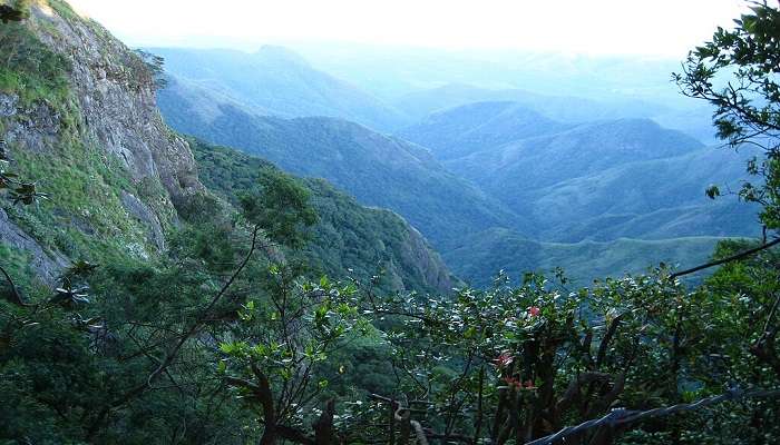 Little details about Green Valley Viewpoint Kodaikanal