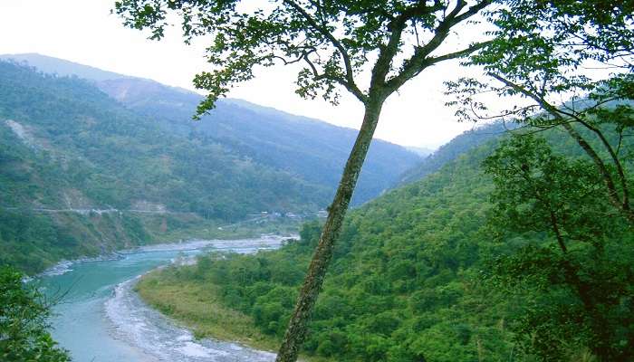 Scenic River flowing near Nature Interpretation Centre in Kalimpong.