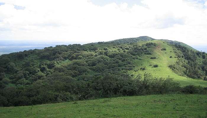 Explore the serene environment of Ngong Hills