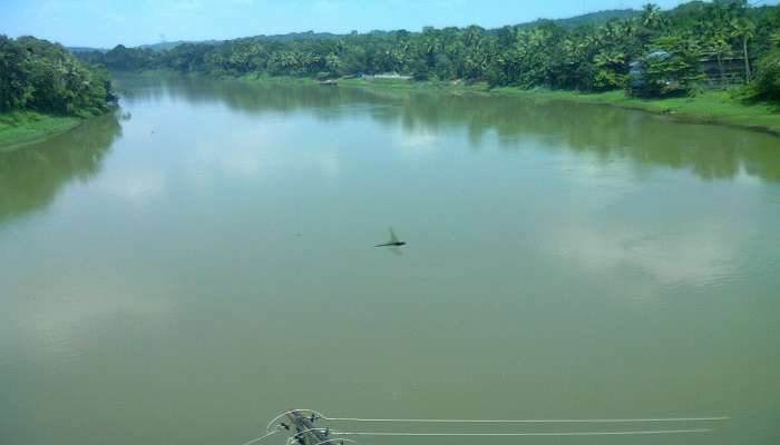 beautiful view of backwaters at Piravom