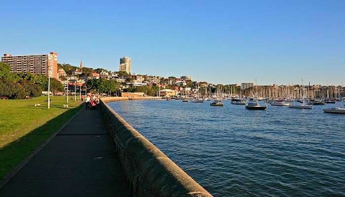 A panoramic view of the Rushcutters Bay.