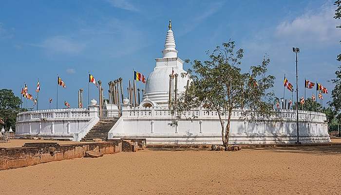 the wide angle view of Thuparamaya