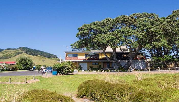 Otorohanga has some of the best accommodation options in NZ.