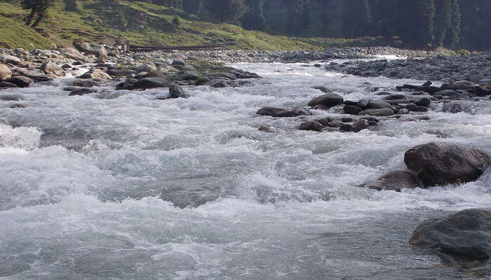 Tourists engaging in various activities in Doodhpathri Valley