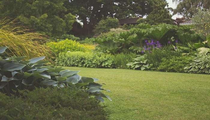 An image of a garden in a green setting in Whyalla.