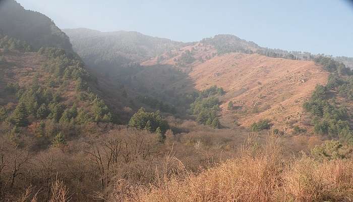 Trekking in Kishtwar National Park is enjoyed by several visitors.