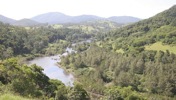 Manning River and indulge in the adventure which is the best thing to do in taree.