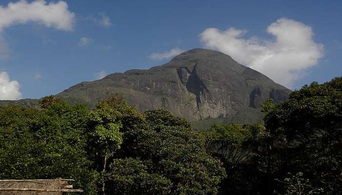 A view of Agasthyakoodam Peak