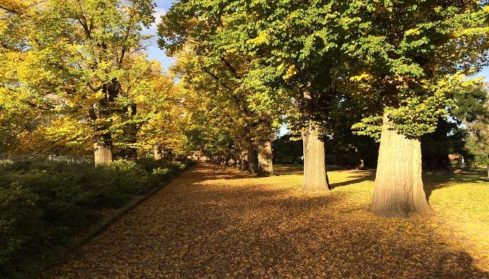 visit the Albury Botanical Gardens