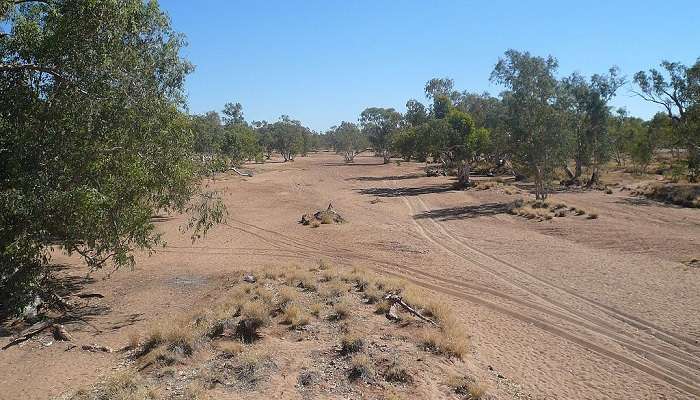 Alice Springs - The Todd River 2