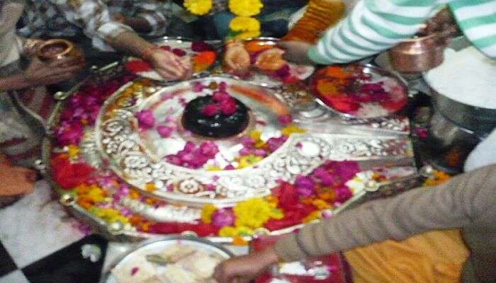  Rinmukteshwar Mahadev Temple, Madhya Pradesh