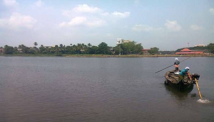 Aluva