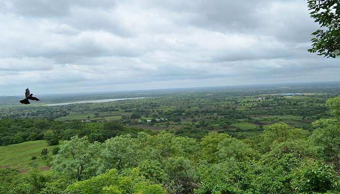 Lush green fields around Ananthagiri Hills in Vikarabad