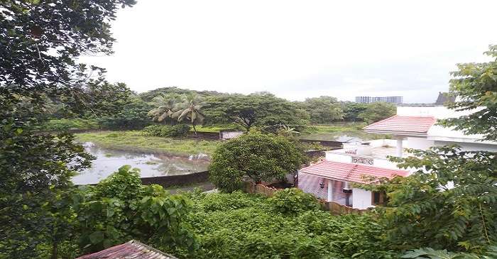 Springfield Angamaly Angamaly To Discover These Are Best Tourist Spots and Travel Tips