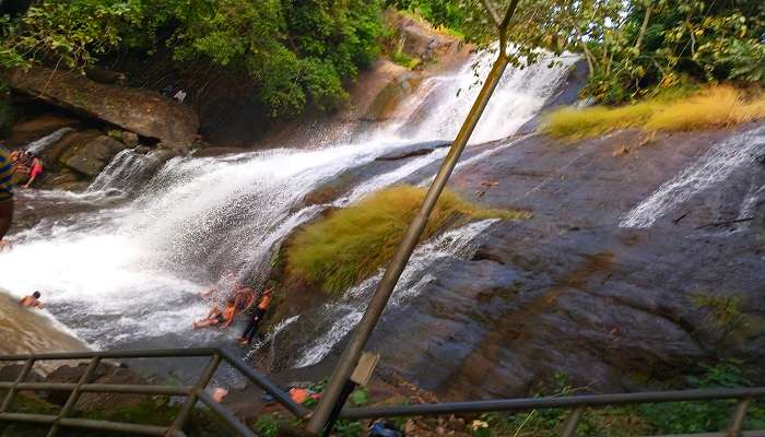 Areekal Waterfalls to explore.