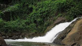 wayanad best places to visit