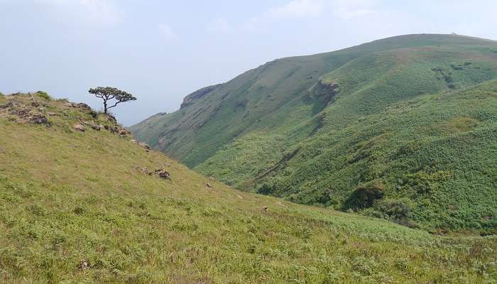 The beautiful western Ghats