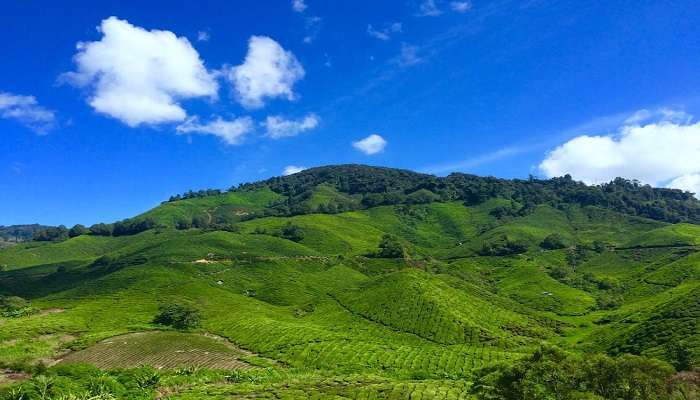 Scenic view of Bagheswari Hill that is one of the popular tourist places in Bongaigaon