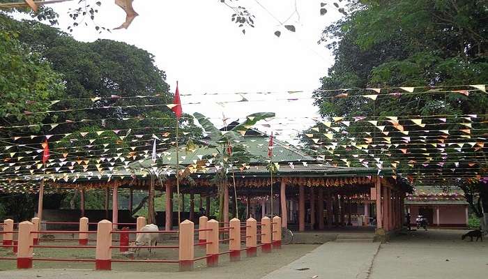  Pary at the Bagheswari Temple, which is one of the top tourist places in Bongaigaon