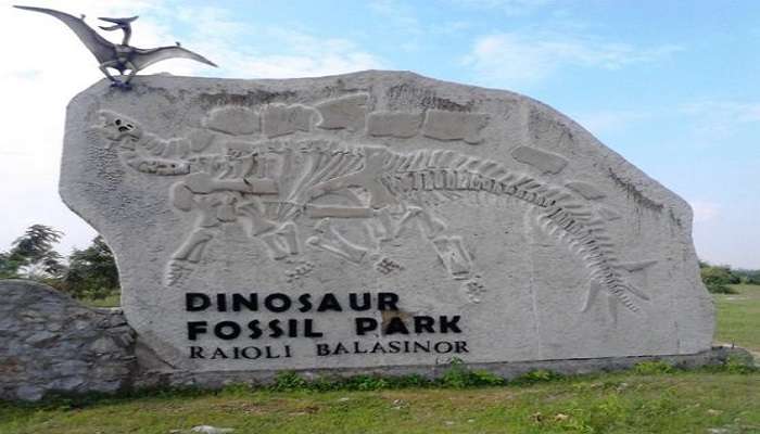 Stone carving at Balasinor Dinosaur Park