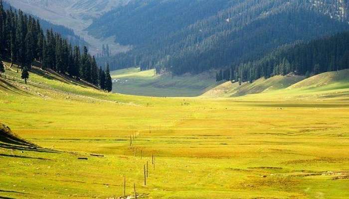 Unravel the Glamour of Serene Meadows of Kupwara.