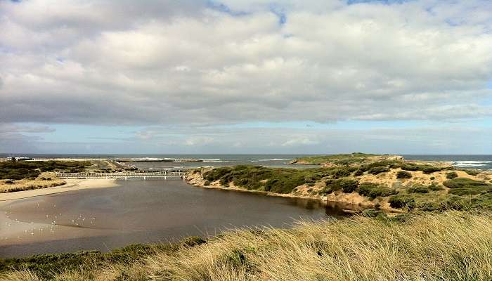 Cinematic View of whale watching at Logan Beach, iot is one of the best Things to do near Warrnambool