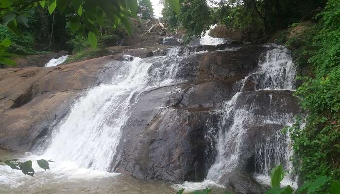 The best time to visit Aruvikuzhy Waterfalls is during the monsoon season