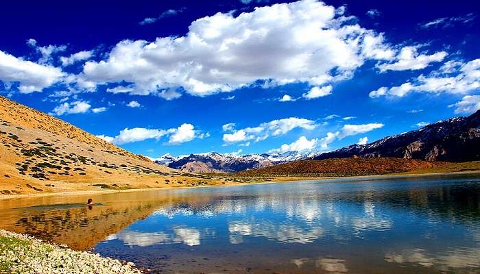 relax around the Dhankar Lake