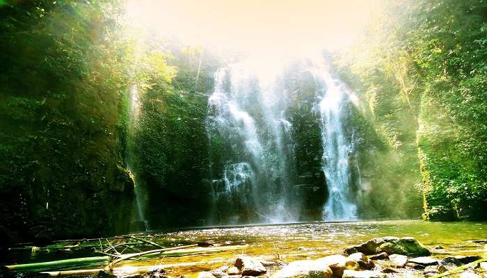 choose the best time that is during the monsoon season