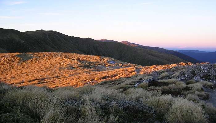 Visiting Pahiatua at the right time can help you explore the Tararua Ranges. 