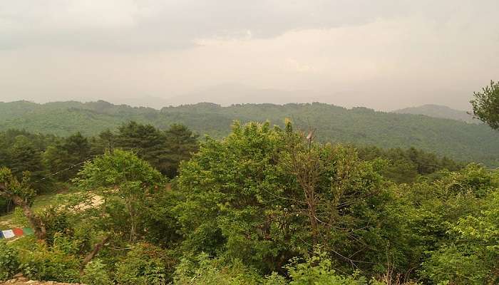 Lush green view from Nagarkot during monsoon season.