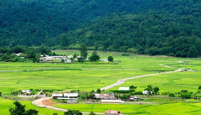 Panoramic view of lush Ziro Valley.