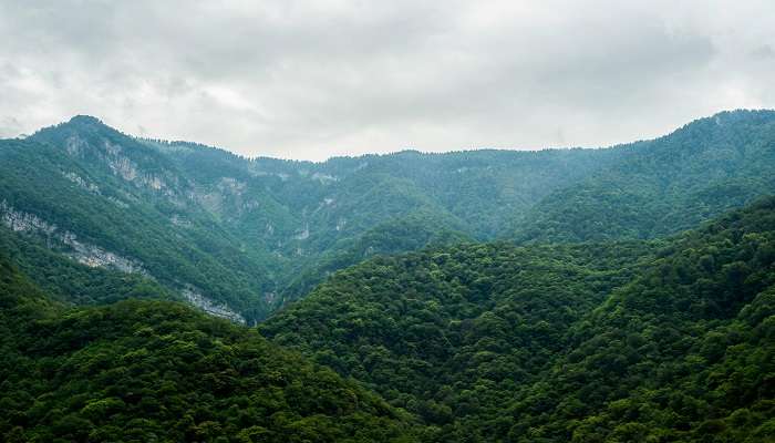 Best time to visit Green Valley View Kodaikanal