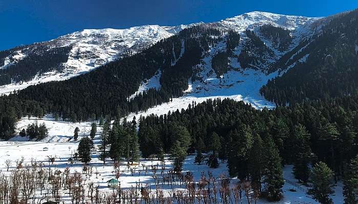 Betaab Valley in Pahalgam is one of the sights to witness in winter.