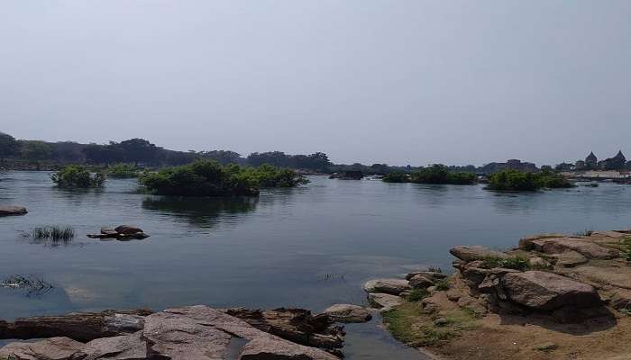 Soothing view of Betwa River 