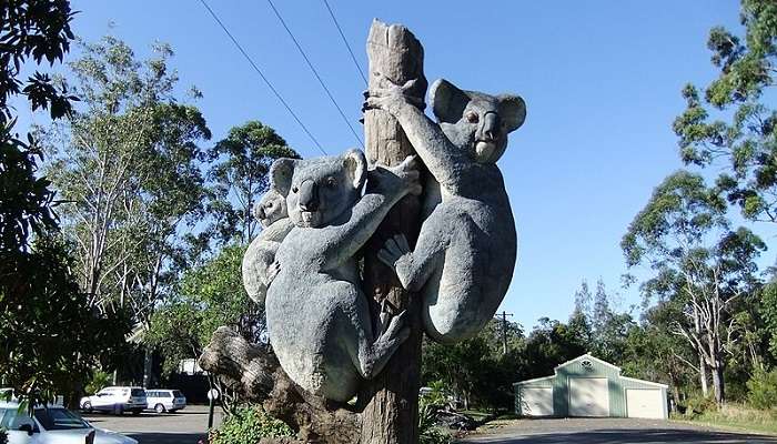 Visit Billabong Zoo Koala & Wildlife Park.