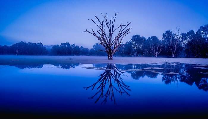 Wonga Wetlands is a tranquil escape for tourists and nature enthusiasts.