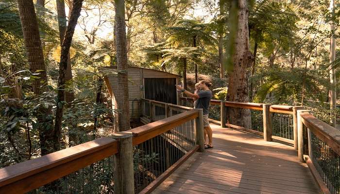 Blackbutt Reserve