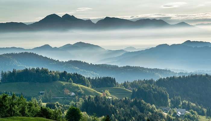 Scenic view from Bomdila View Point