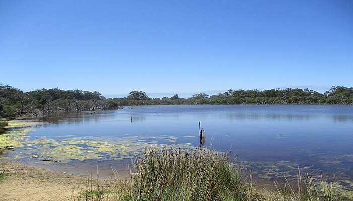 Boragoon Lake Ardross