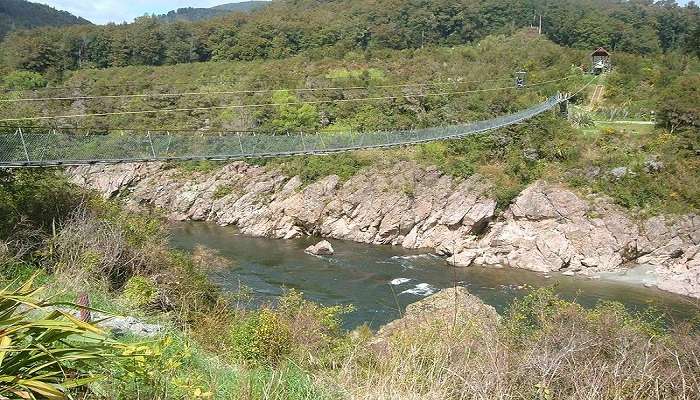 Exciting swingbridge across Buller Gorge with lush forest and river, top Things to do in Westport